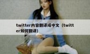 twitter内容翻译成中文（twitter如何翻译）