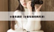 小客车调控（小客车调控网天津）