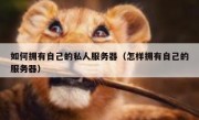 如何拥有自己的私人服务器（怎样拥有自己的服务器）