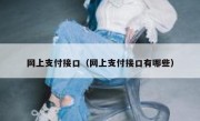 网上支付接口（网上支付接口有哪些）