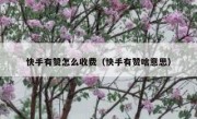 快手有赞怎么收费（快手有赞啥意思）