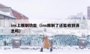 ins上限制功能（ins限制了还能收到消息吗）