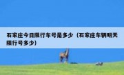 石家庄今日限行车号是多少（石家庄车辆明天限行号多少）
