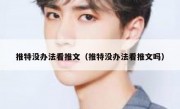 推特没办法看推文（推特没办法看推文吗）