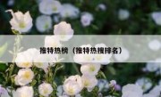 推特热榜（推特热搜排名）