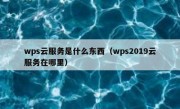 wps云服务是什么东西（wps2019云服务在哪里）
