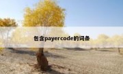 包含payercode的词条