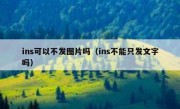 ins可以不发图片吗（ins不能只发文字吗）