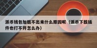 派币钱包加载不出来什么原因呢（派币下载插件也打不开怎么办）