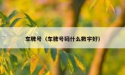 车牌号（车牌号码什么数字好）