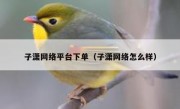 子潇网络平台下单（子潇网络怎么样）