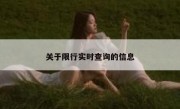 关于限行实时查询的信息