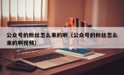 公众号的粉丝怎么来的啊（公众号的粉丝怎么来的啊视频）