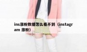 ins涨粉数据怎么看不到（instagram 涨粉）