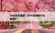 tiktok不涨粉（tiktok掉粉什么原因）