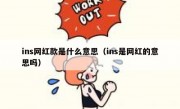 ins网红款是什么意思（ins是网红的意思吗）