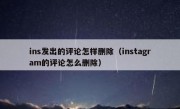 ins发出的评论怎样删除（instagram的评论怎么删除）
