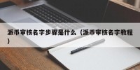 派币审核名字步骤是什么（派币审核名字教程）