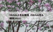 tiktok上怎么赚钱（tiktok怎么赚钱2021）
