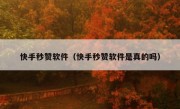 快手秒赞软件（快手秒赞软件是真的吗）