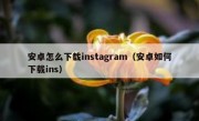 安卓怎么下载instagram（安卓如何下载ins）
