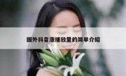 国外抖音涨播放量的简单介绍