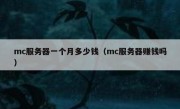 mc服务器一个月多少钱（mc服务器赚钱吗）