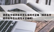 派币名字修改名字怎么填写才正确（派币名字修改名字怎么填写才正确呢）