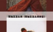 赞加王怎么读（赞加王怎么读拼音）