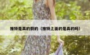 推特是真的假的（推特上面的是真的吗）