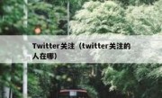 Twitter关注（twitter关注的人在哪）