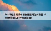 ins评论点赞没有消息提醒吗怎么设置（ins点赞别人的评论又取消）