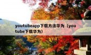 youtubeapp下载方法华为（youtube下载华为）