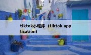 tiktok小程序（tiktok application）