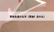 赞加走是什么字（赞加阝念什么）