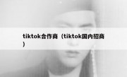 tiktok合作商（tiktok国内招商）
