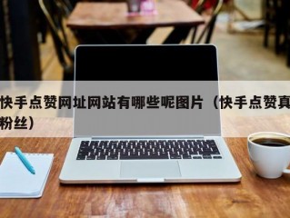 快手点赞网址网站有哪些呢图片（快手点赞真粉丝）