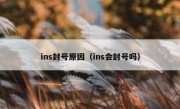 ins封号原因（ins会封号吗）