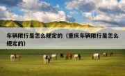 车辆限行是怎么规定的（重庆车辆限行是怎么规定的）