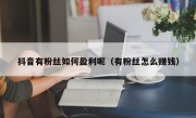 抖音有粉丝如何盈利呢（有粉丝怎么赚钱）