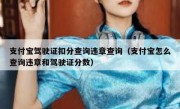 支付宝驾驶证扣分查询违章查询（支付宝怎么查询违章和驾驶证分数）
