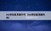 ins评论能发图片吗（ins评论能发图片吗）