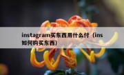 instagram买东西用什么付（ins如何购买东西）