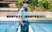 推特用户多少人（推特用户数量2021）