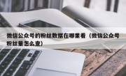 微信公众号的粉丝数据在哪里看（微信公众号粉丝量怎么查）