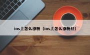 ins上怎么涨粉（ins上怎么涨粉丝）