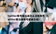 twitter账号被冻结怎么注销账号（twitter刚注册账号就被冻结）