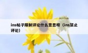 ins帖子限制评论什么意思呀（ins禁止评论）