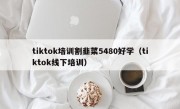 tiktok培训割韭菜5480好学（tiktok线下培训）