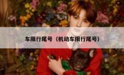 车限行尾号（机动车限行尾号）